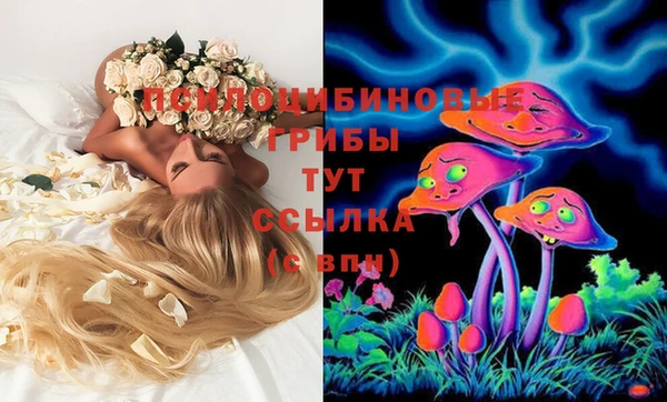 крисы Слюдянка
