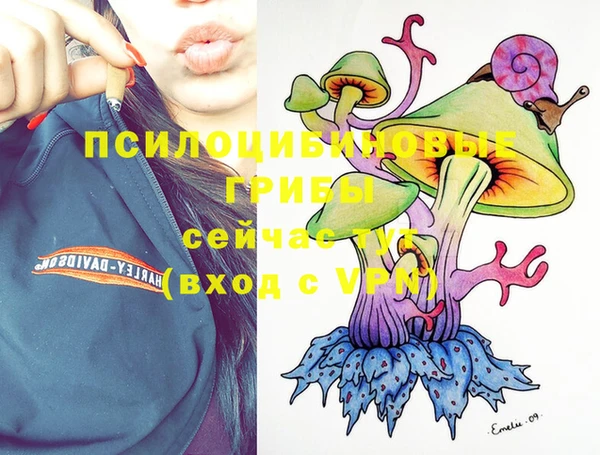 трава Богданович